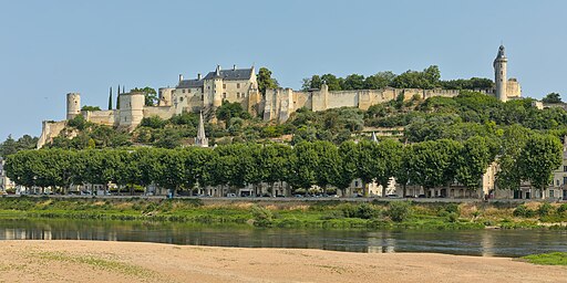 Château de Chinon vu depuis la plage de la Vienne